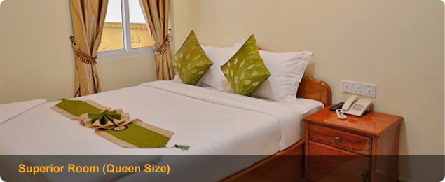 Superior Queen Size